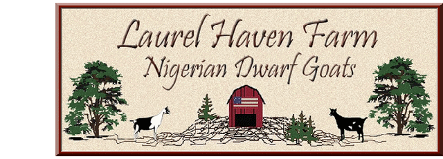 Laurel Haven Farm