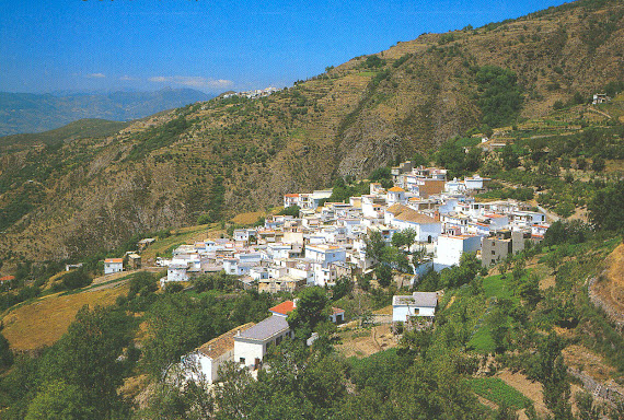 Soportújar Soportújar
