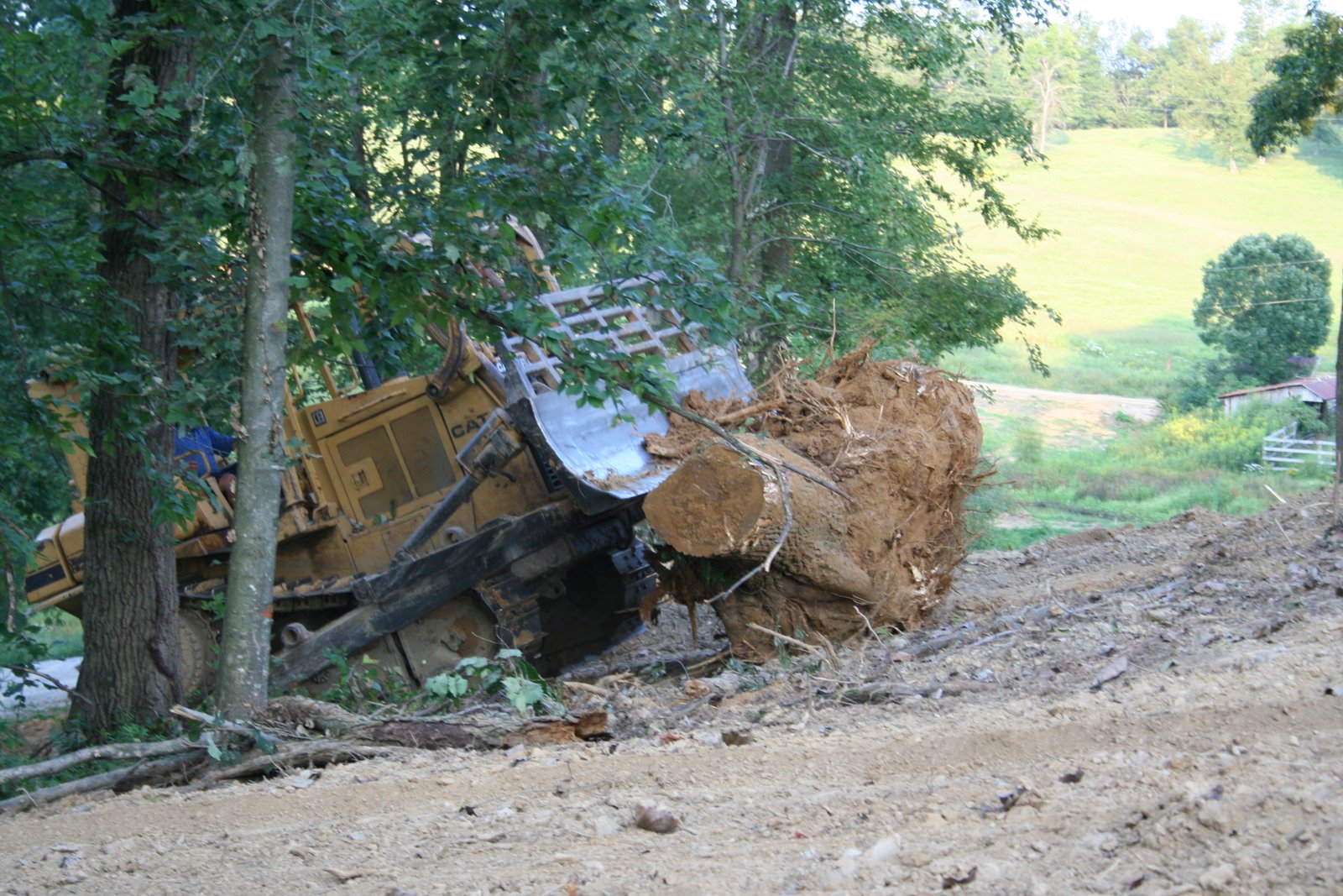 [IMG_5178.JPG]