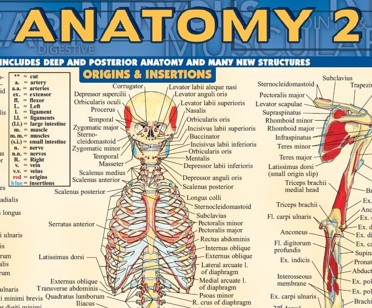 MCQs for Dentistry - Kathleen F. M. Fan Judith Jones - Google Books