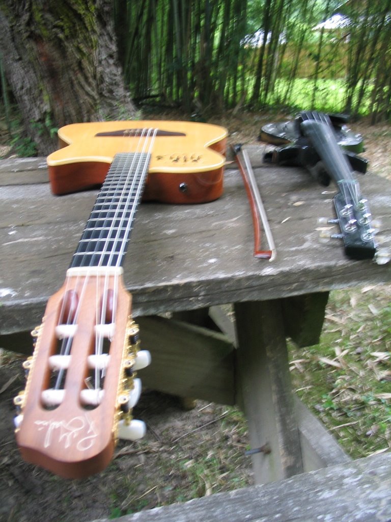 [Instruments2.JPG]