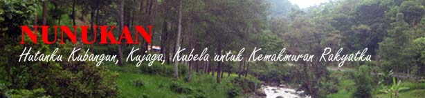 My Blog 2009