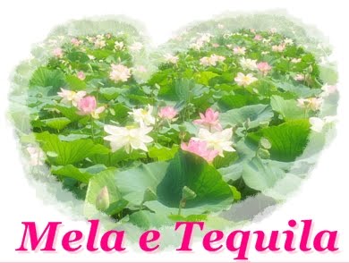 Mela e Tequila