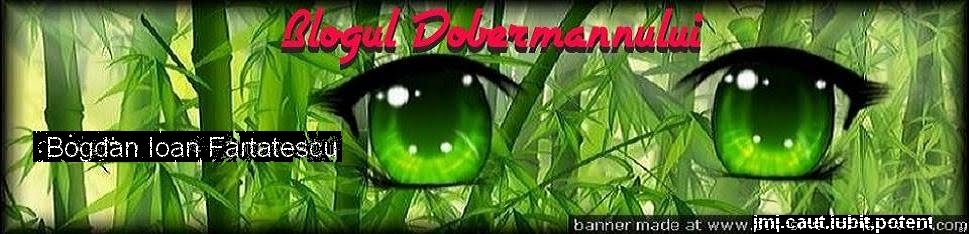 Blogul Dobermannului