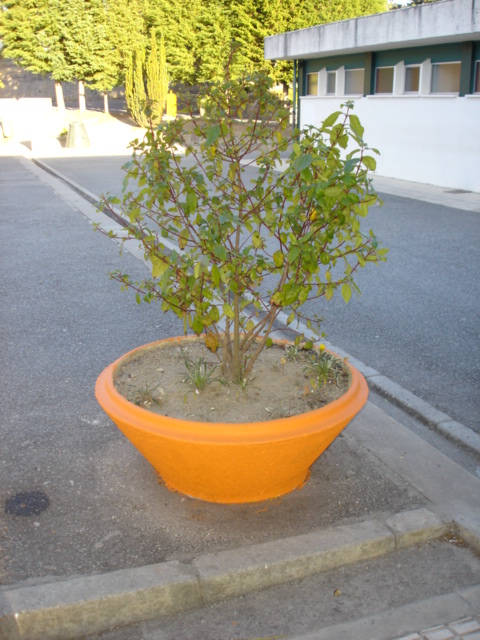 [DSC05949.JPG]