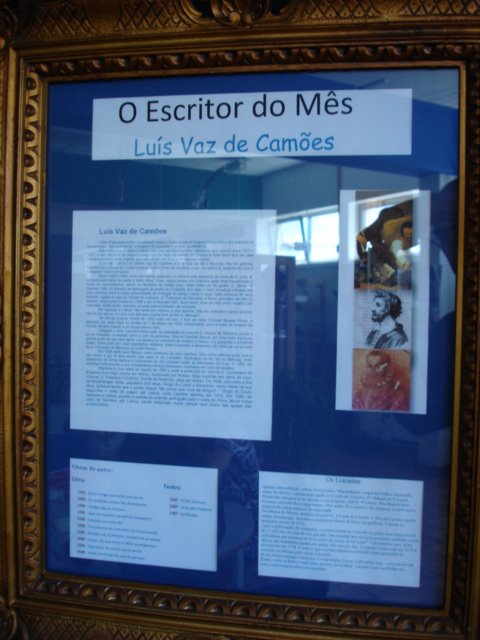 [DSC07312.JPG]