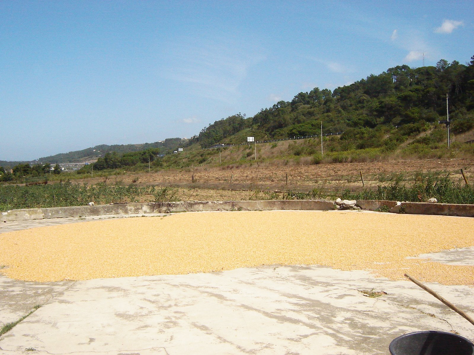 [DSC08622.JPG]