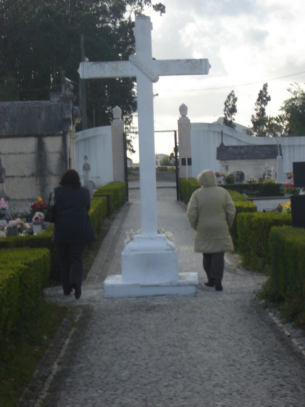 [DSC09520.JPG]
