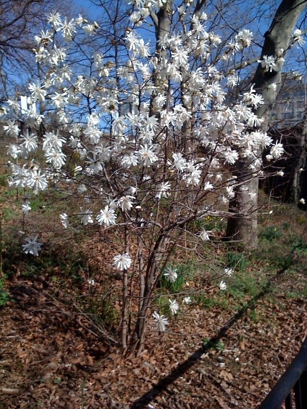 [Signs+of+Spring.JPG]