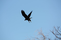 Nature Photo of the Week
