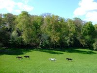 A green and pleasant land