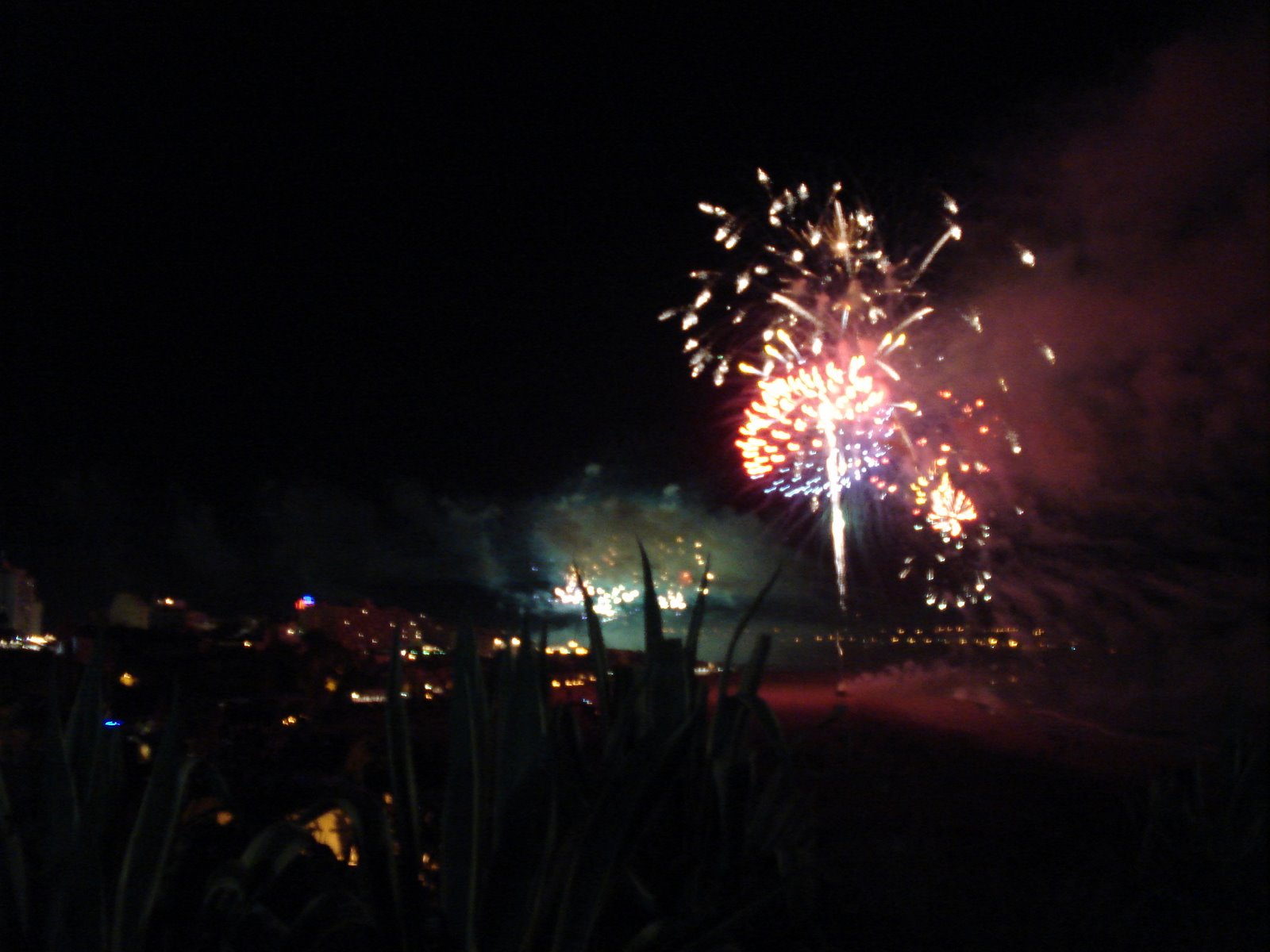 [DSC00812.JPG]