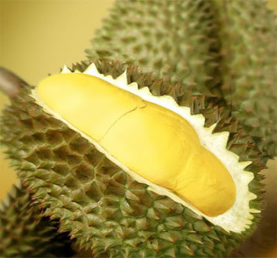 Durian (Asia Tenggara) 