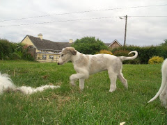 Kendra Admiring Mummy's Tail