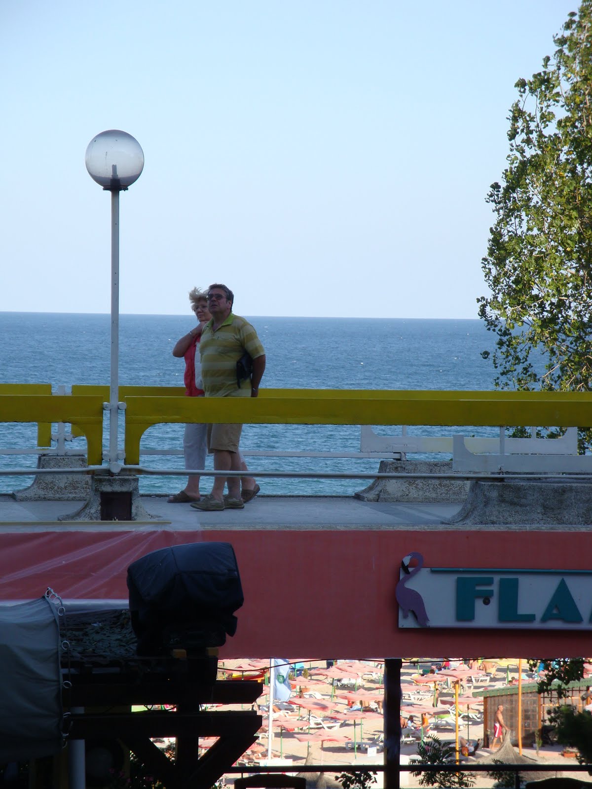 [DSC04430.JPG]