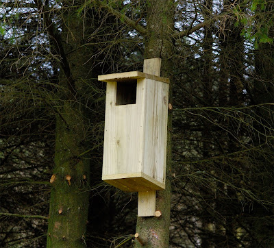 nestbox