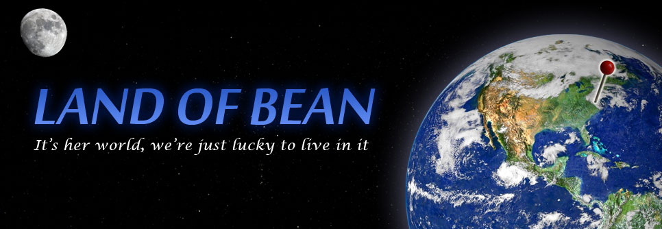 Land of Bean