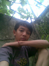My Photo