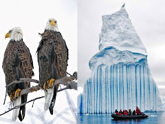 C'est le temps de visiter les glaciers avant que ....