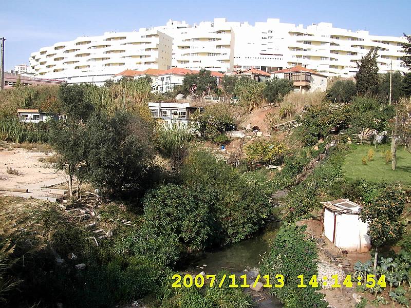 [DSCI0203.jpg]