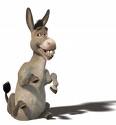 [burro.jpg]