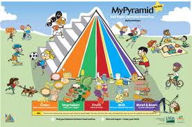 Mypyramid Chart