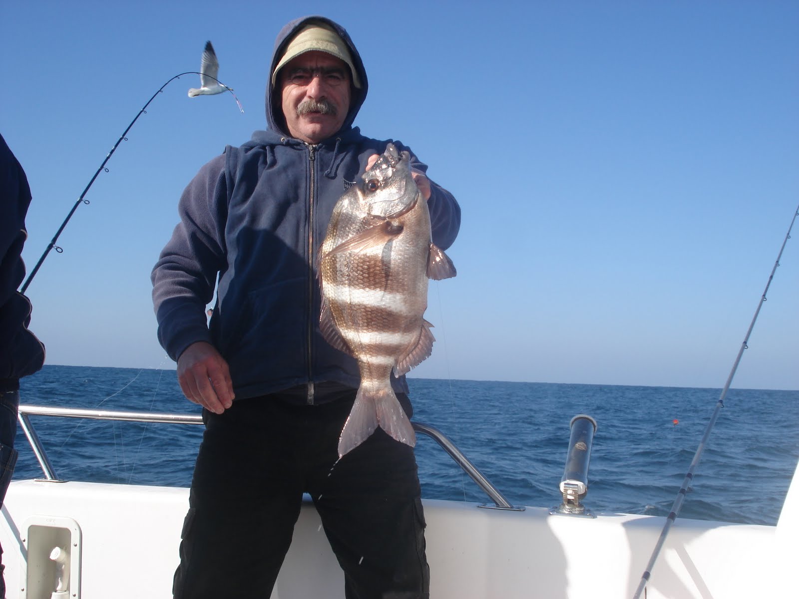 [Primeira+Saima.JPG]