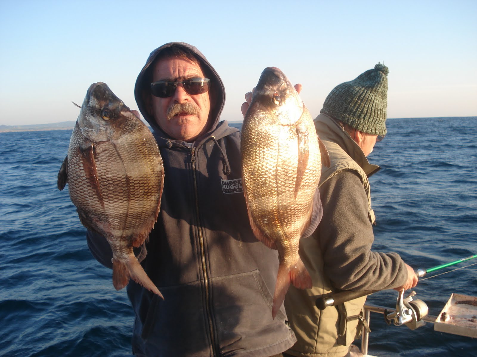 [O+Par+de+Saimas.JPG]