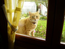 Voyou:Do eden vejo o mundo