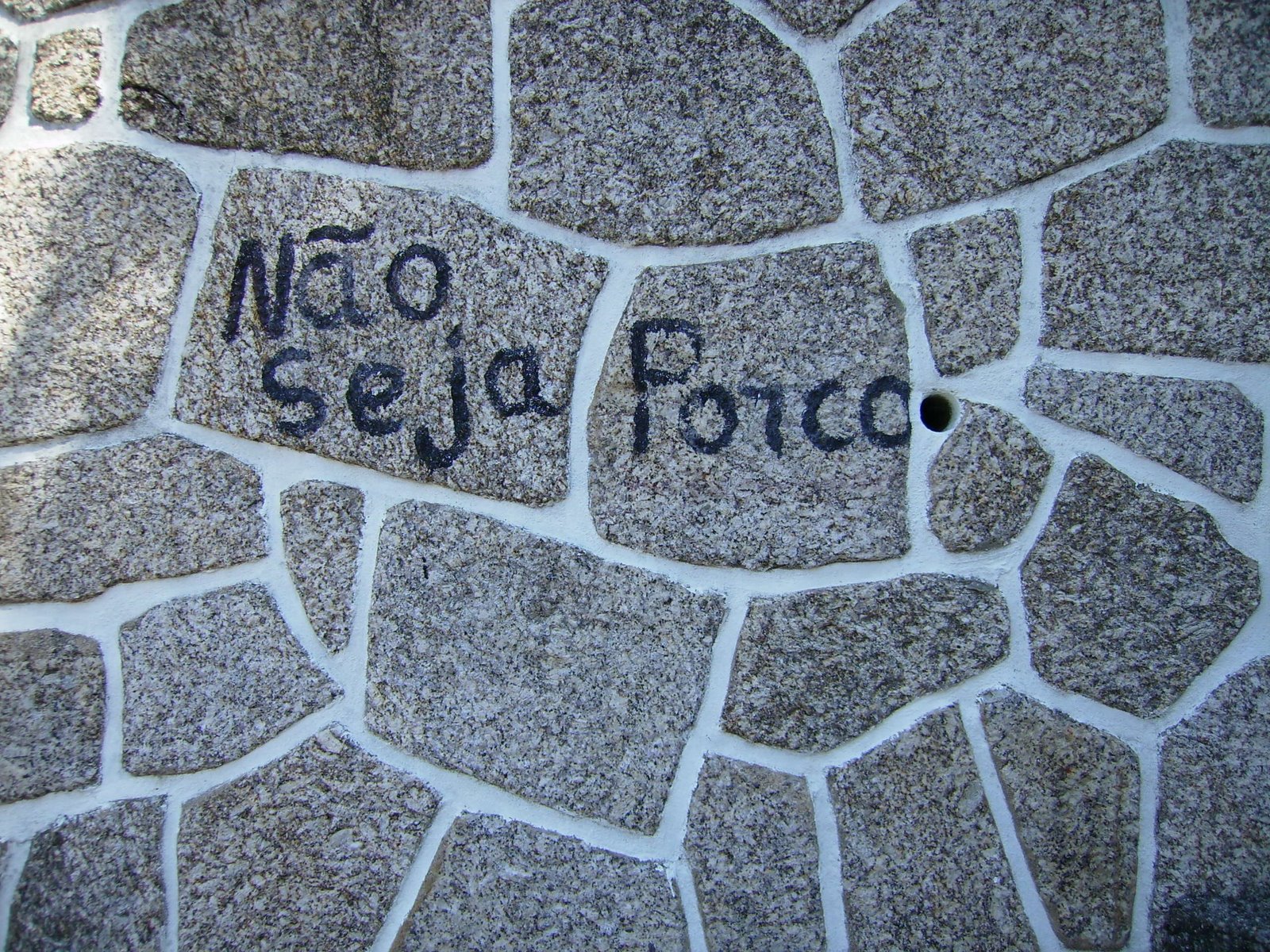 [P7290679.JPG]