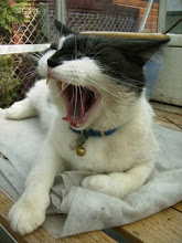 Ai que preguiça tu tens Bootsy!