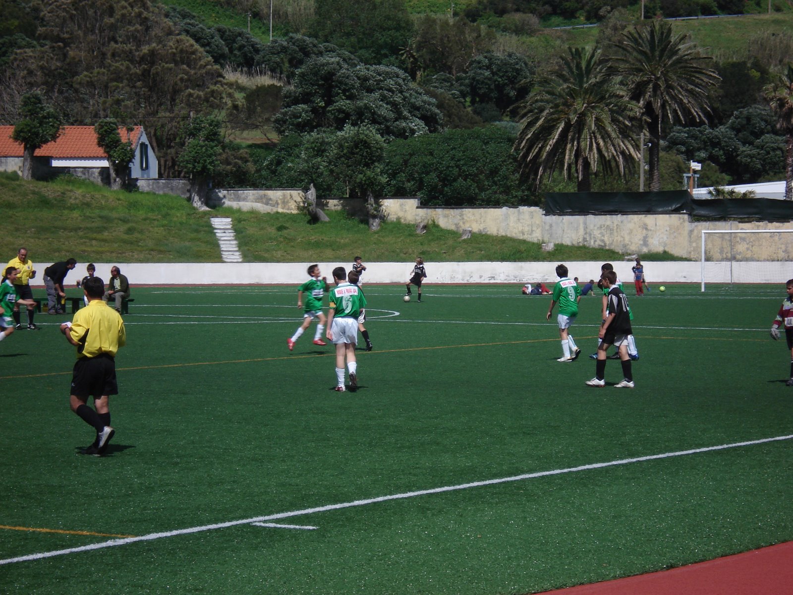 [DSC08706.JPG]