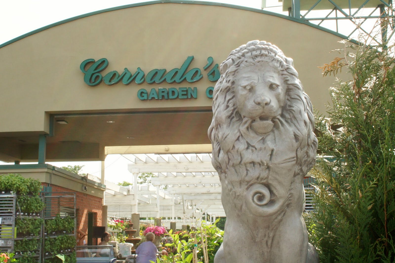 Corrado S Is Now Offering Essential Corrado S Restaurant Facebook