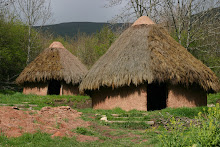 POBLADO CÁNTABRO