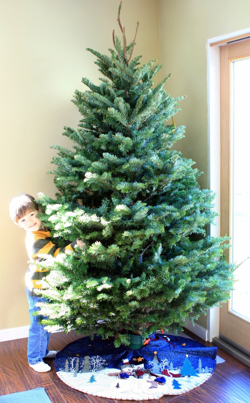[Hugging+the+tree.JPG]