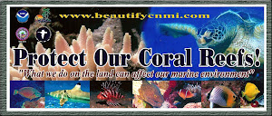 PROTECT OUR MARINE REEF