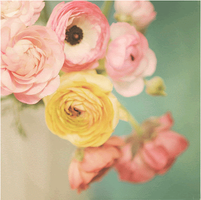 Florabella collection.