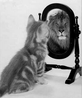 [mirror.GIF]