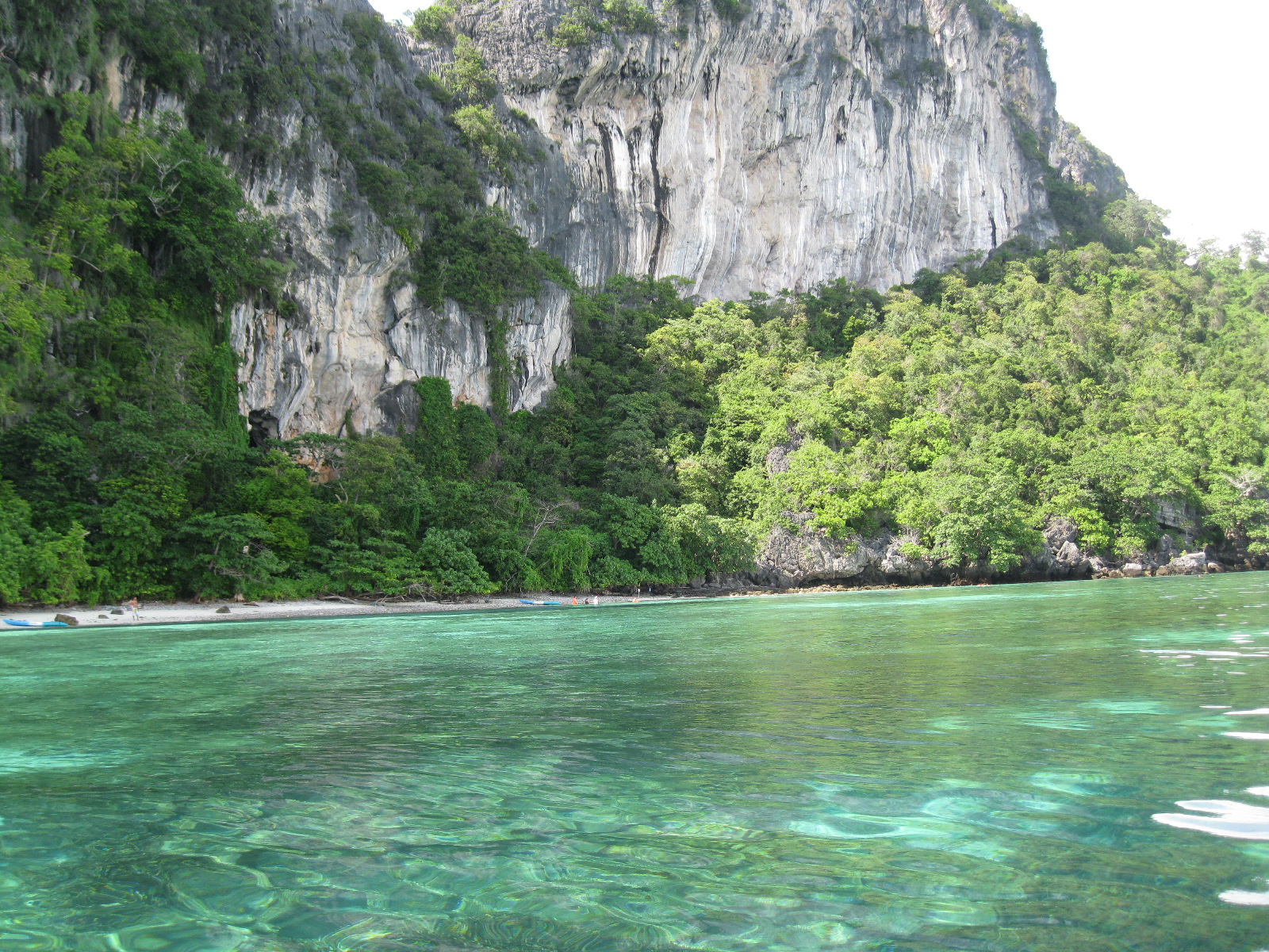 pude haber sido el rey del mundo pero encontré mujeres a mi paso