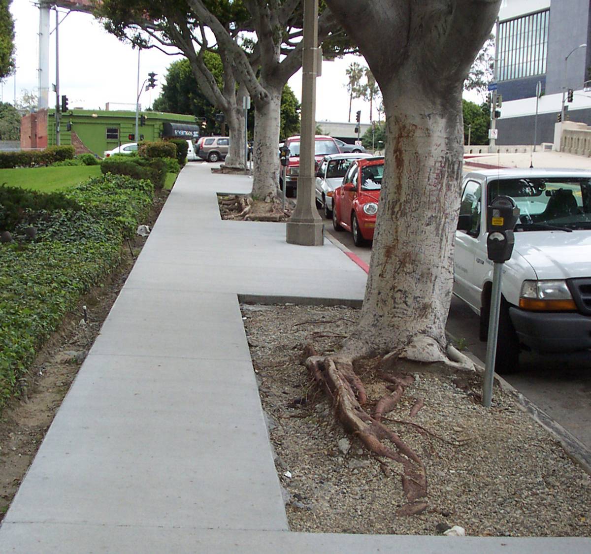 [Sidewalk+-+Enlarged+Tree+Well.jpg]