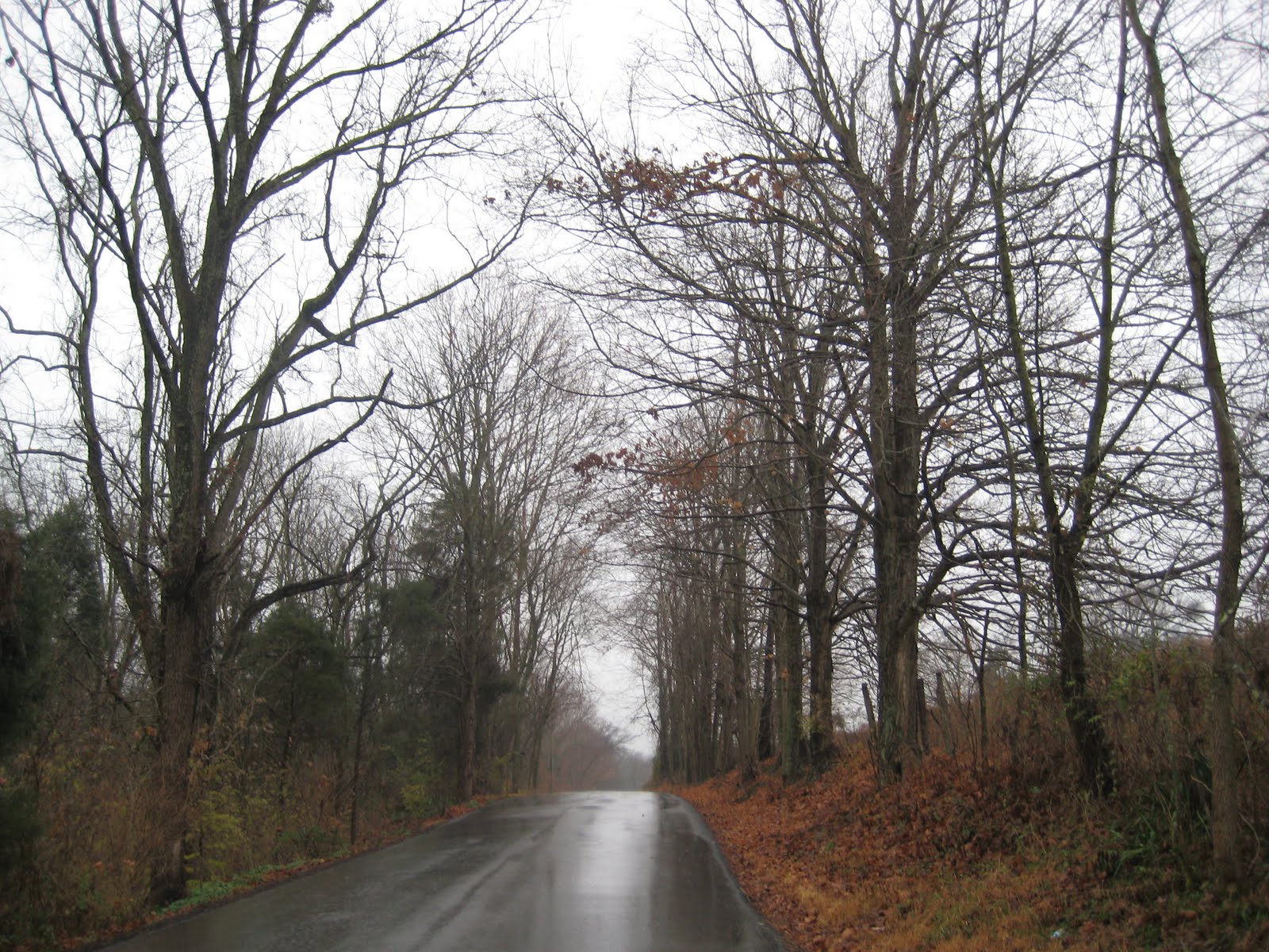 [IMG_0816.JPG]