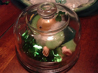 ....CAPTURED him! He sleeps now under a glass dome!