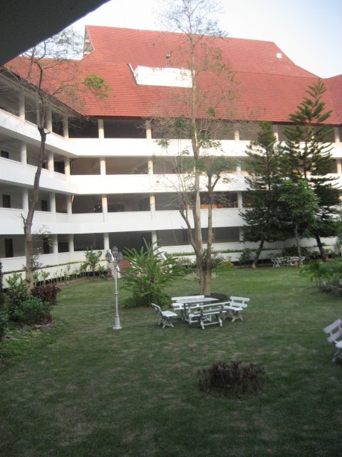 [Picture+924.jpg]