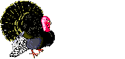 [peru06.gif]
