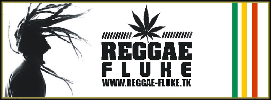 Reggae_Fluke MusicaYcultura x Fluke, JAHVier &