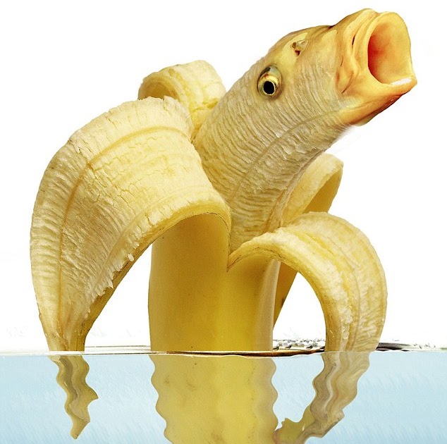 Theological Scribbles The Freaky Banana Fish