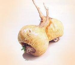 la maca
