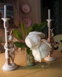 [magnolia+72dpi.jpg]