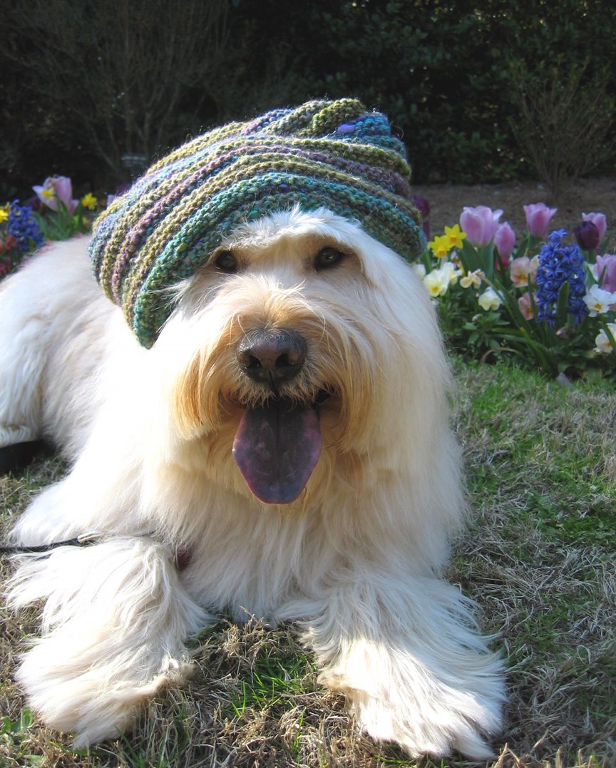 [Edward:Knit+Hat1.JPG]