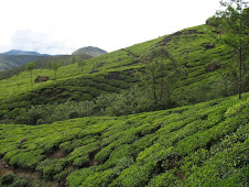 Munnar